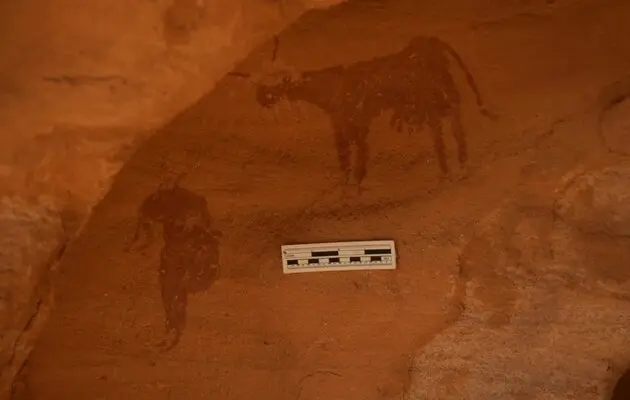 Сахара виглядала інакше: вчені знайшли наскельні малюнки віком 4000 років