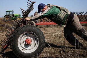 Фермерам у прифронтових зонах ФАО ООН не надало обіцяної підтримки – Мінагрополітики
