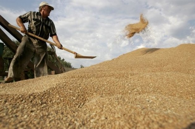 Украина уже экспортировала 300 тысяч тонн зерна нового урожая