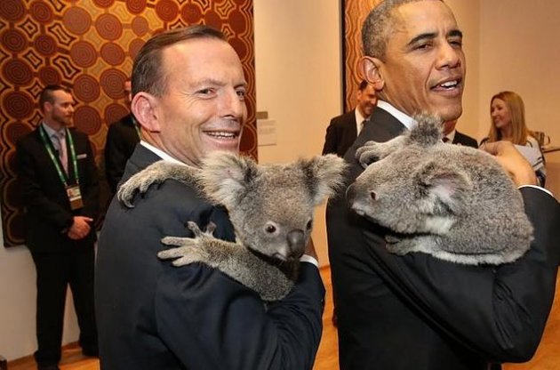 Обама, Путин и Эбботт фотографировались на саммите G20 с коалой