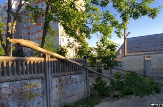 В Крыму ураган валит деревья, Керченская переправа остановлена