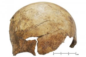 Найденные кости людей каменного века указывают на самые древние массовые пытки