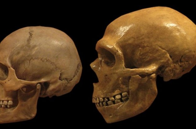 Гени неандертальців викликають депресію і нікотинову залежність у сучасних людей