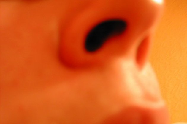 Ученые назвали крупный нос человека побочным продуктом эволюции