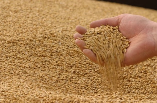 Украина может экспортировать рекордный объем зерна