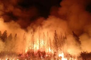В штате Калифорния из-за пожаров введен режим чрезвычайной ситуации