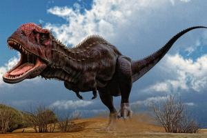 У динозавра с Мадагаскара зубы менялись каждые два месяца – ученые