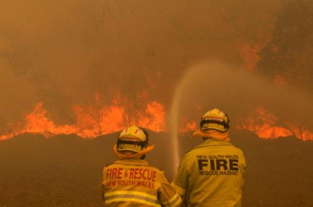Австралия подсчитывает убытки от лесных пожаров