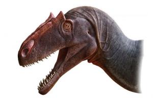 Ученые впервые описали одного из самых опасных хищных динозавров
