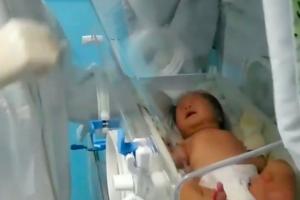 Новорожденная девочка из Уханя выздоровела от коронавируса без лекарств