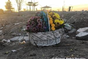 Украина имеет право обратиться в суд за сбитый Boeing 737