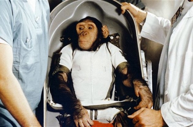 Іран запустив у космос біокапсулу з мавпою