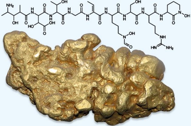 Биологи получили вещество, выделяющее золото из морской воды