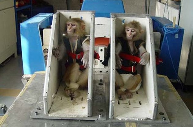 Іран запропонував США взяти інтерв'ю у мавпи-космонавта