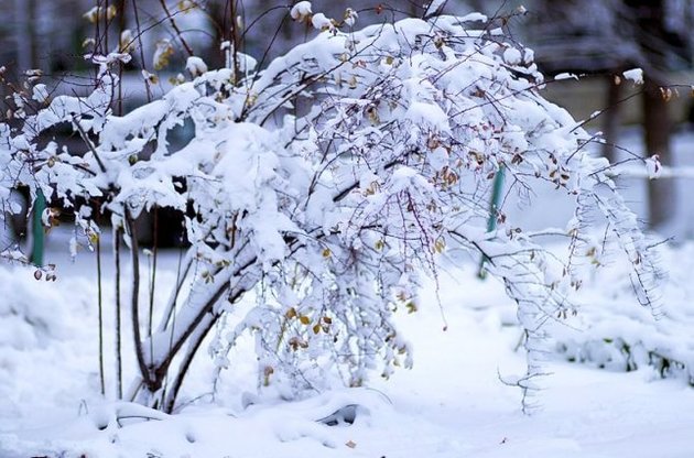 Снег с дождем не покинут Украину и в понедельник