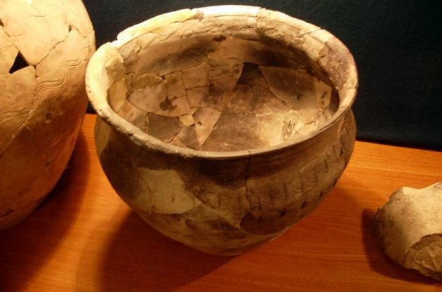 Науковці з'ясували, якими спеціями користувалися в кам'яному столітті