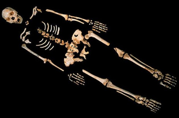 Ученые "воскресили" древнейший геном человека возрастом 400 тысяч лет