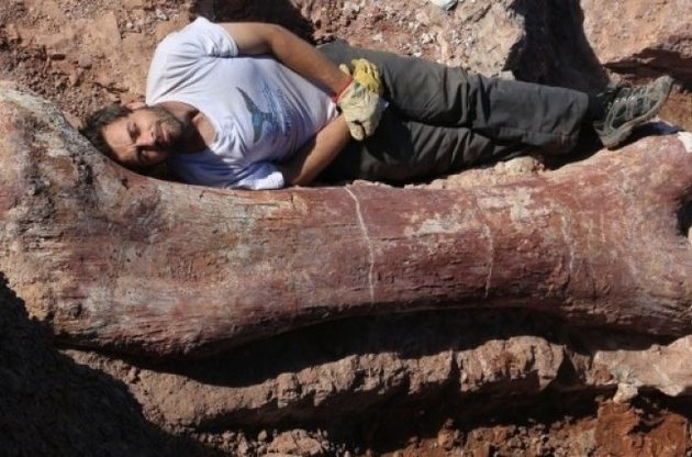 Знайдено останки найбільшого в історії динозавра