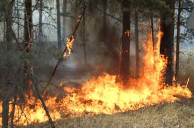 В Днепропетровской области загорелось 30 гектаров леса