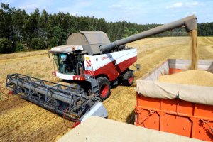 Министр агрополитики "впервые слышит" о возможном ограничении экспорта зерна