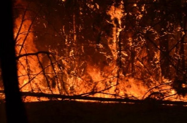 Пожар в районе ЧАЭС полностью ликвидирован - ГСЧС