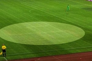 УЕФА открыл дело в отношении хорватской федерации из-за свастики на газоне