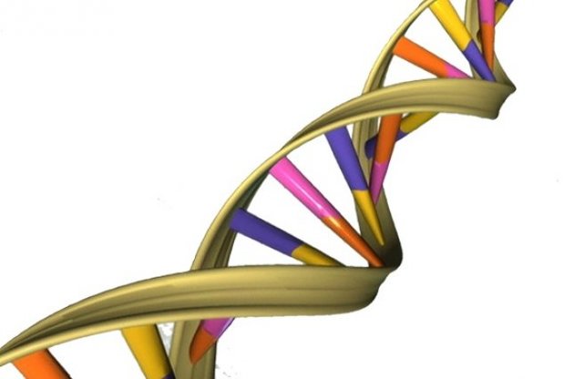 Ученые обнаружили у ДНК механизм "пассивной" защиты от ультрафиолета