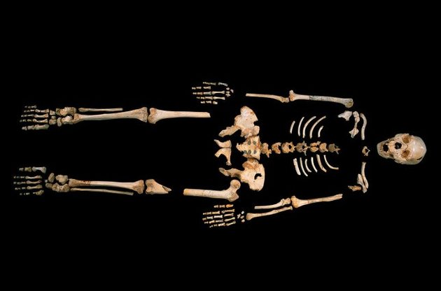 Первыми жителями Европы были неандертальцы – ученые