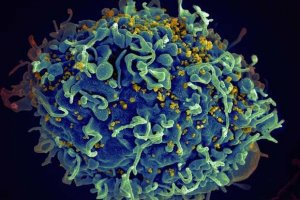 Биологи обнаружили антитело, которое нейтрализует 98% штаммов ВИЧ