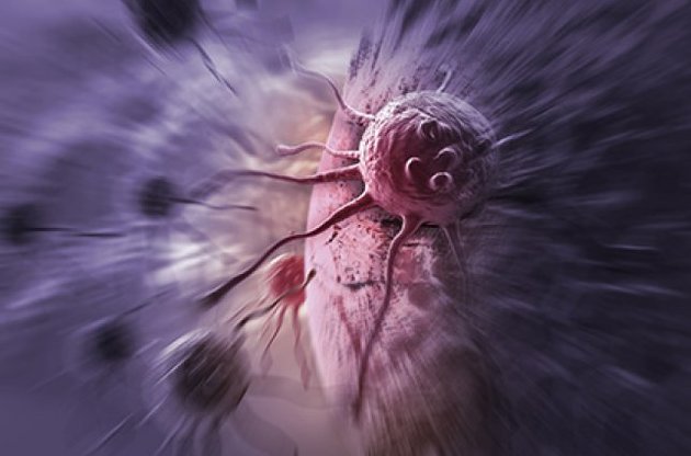 Ученые предложили лечить рак мозга с помощью вируса бешенства