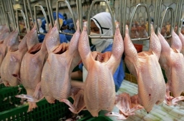 Украина с начала года увеличила экспорт мяса птицы на 45,4%