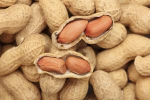 Употребление арахиса уменьшает риск развития сердечно-сосудистых заболеваний – ученые