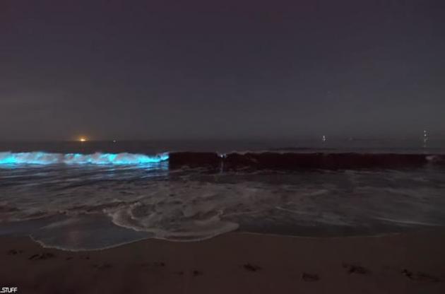 На побережье Калифорнии заметили свечение воды