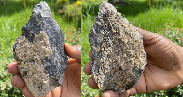 Антропологи нашли костяной топорик возрастом 1,4 миллиона лет