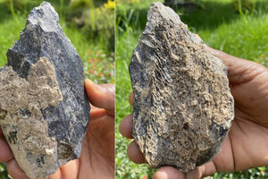 Антропологи нашли костяной топорик возрастом 1,4 миллиона лет