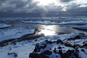 Влияние деятельности человека на Антарктиду оказалось значительнее, чем считалось
