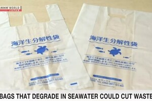 Японские ученые предложили новый способ создания разлагаемых пакетов