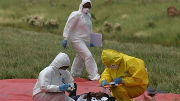 В Монголии зафиксирован новый летальный случай бубонной чумы