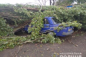 Сломанные деревья и поврежденные крыши: опубликованы фото последствий урагана на Херсонщине