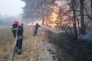В Луганской области ликвидировали большинство пожаров - ГСЧС