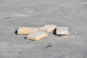 В Нидерландах на пляже люди собирали кокаин под предлогом прогулки на свежем воздухе
