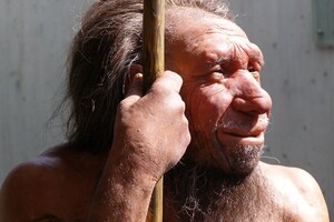 Ученые заявили о нормальной переносимости токсинов дыма у неандертальцев
