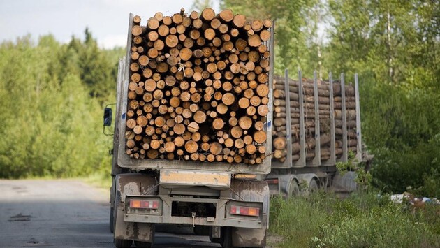 Украина выиграла спор с ЕС по экспорту леса-кругляка