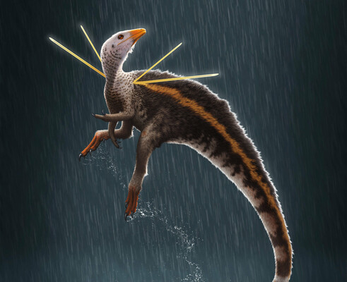 Палеонтологи обнаружили новый вид динозавров с длинными шипами на плечах