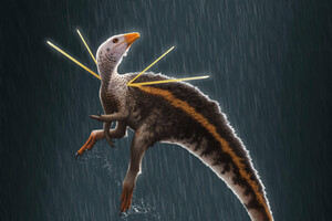 Палеонтологи обнаружили новый вид динозавров с длинными шипами на плечах