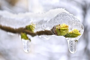 На смену сильным морозам в Украину придет потепление до +10°