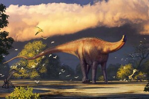 В Узбекистане нашли останки неизвестного вида гигантских динозавров
