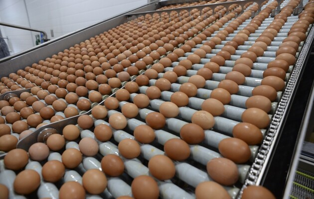 Госстат: В Украине на 16,1% упало производство яиц