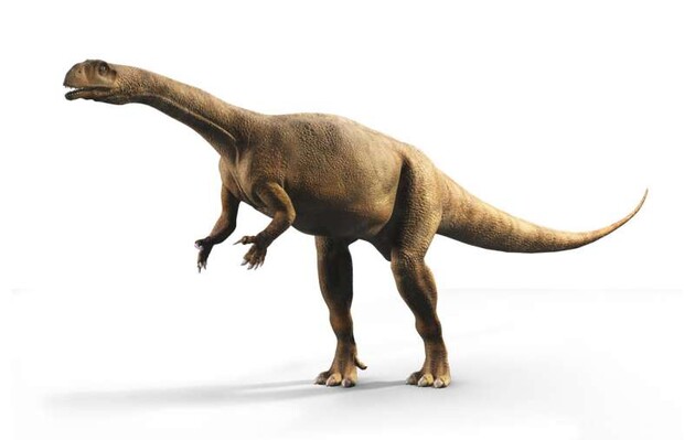 Ученые нашли динозавра, который рос с разной скоростью
