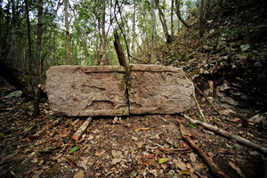 Ученые обнаружили парк в центре поселения древних майя